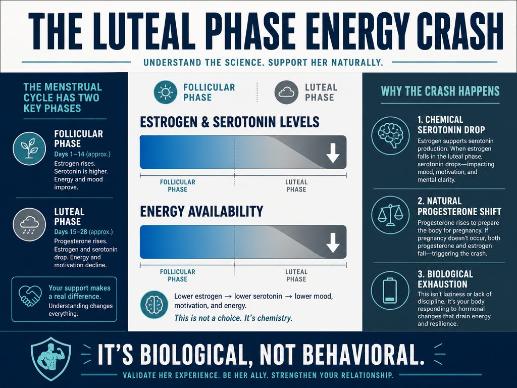 Infographic showing the drop in estrogen and serotonin levels during the luteal phase, explaining why hormonal fatigue occurs in women naturally.