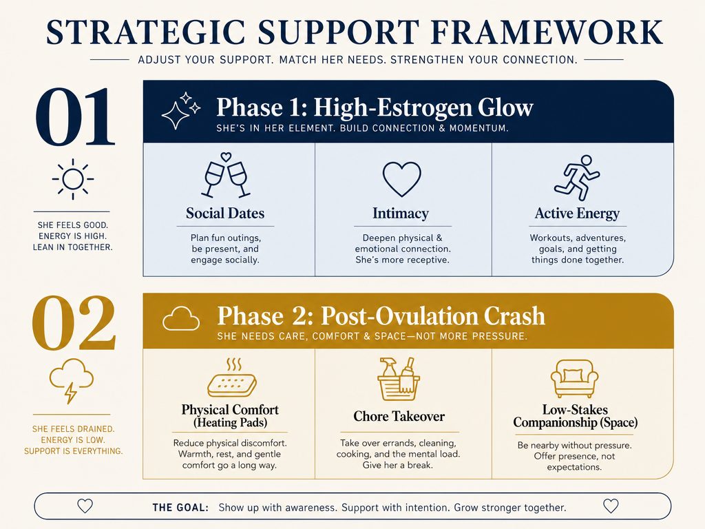 A support framework chart detailing specific partner actions for both the high-energy ovulation phase and the sensitive post-ovulation phase.