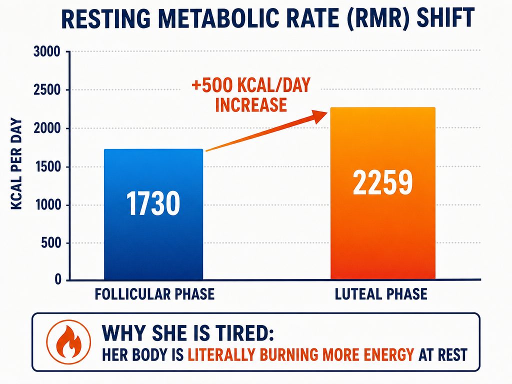 Bar chart comparing caloric needs between follicular and luteal phases, showing the significant increase in resting metabolic rate.