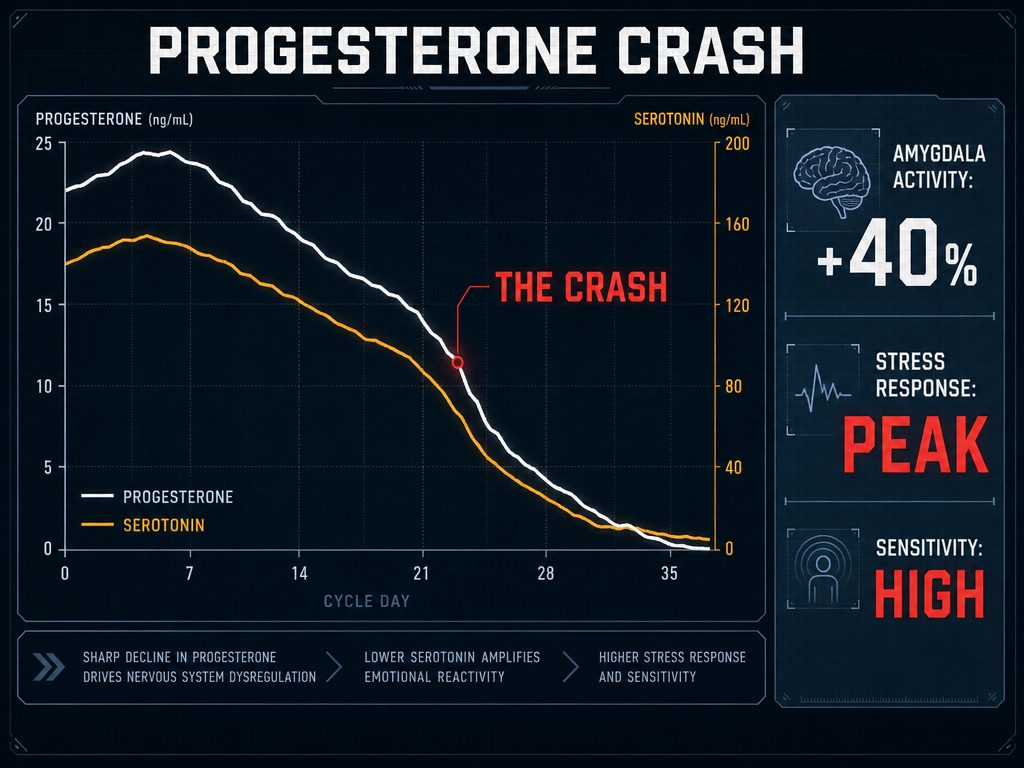 An infographic showing the sharp progesterone and serotonin crash during the luteal phase, highlighting increased amygdala activity and sensitivity.