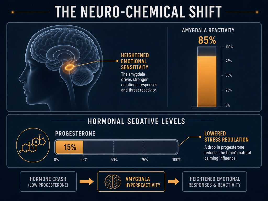 Infographic showing the correlation between low progesterone levels and high amygdala reactivity during the luteal phase of the menstrual cycle.