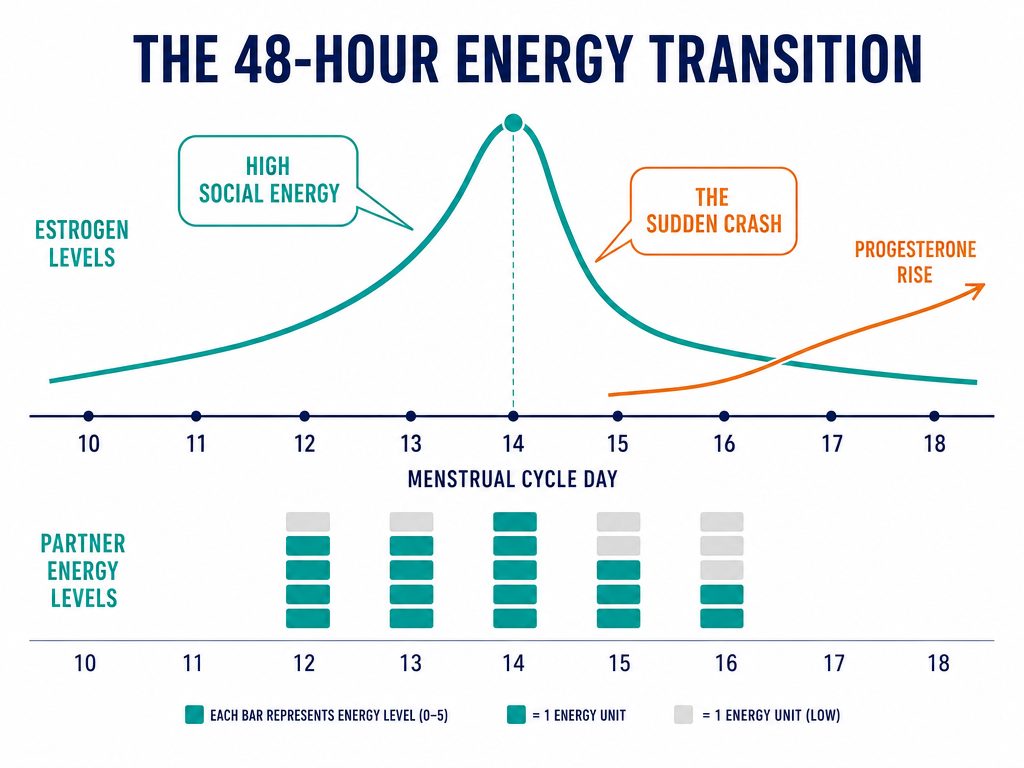 Infographic showing the 48-hour energy transition during ovulation, mapping the estrogen peak and subsequent crash with vertical energy bar indicators.