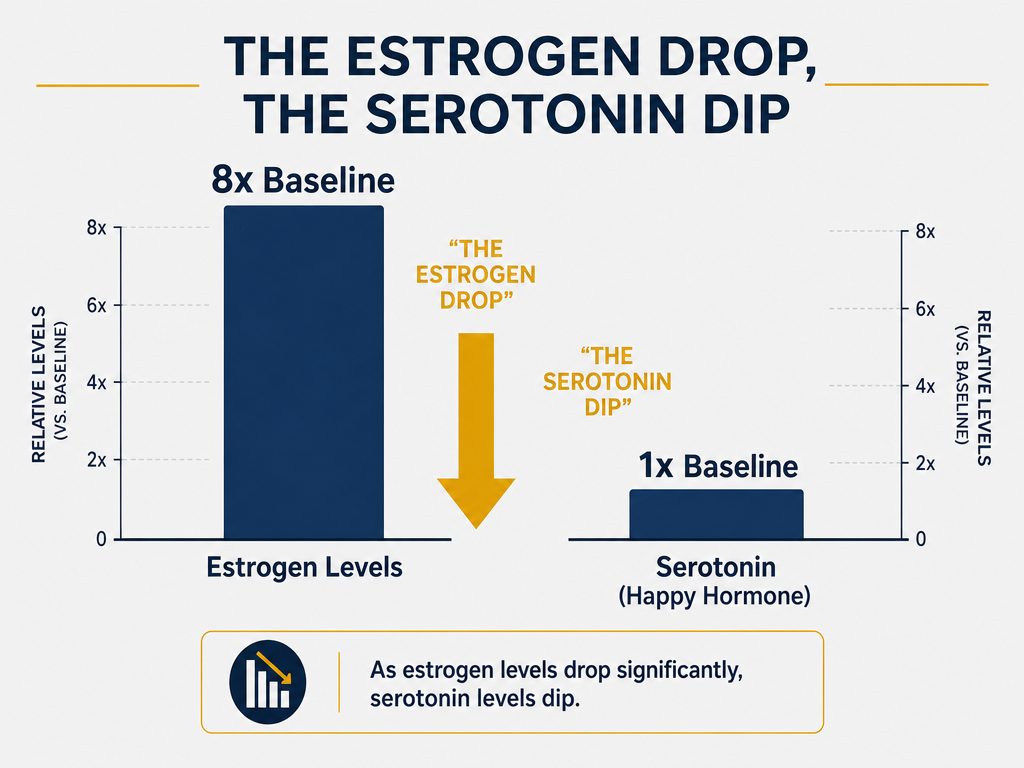 Professional bar chart showing the relationship between an 8x estrogen surge and the subsequent serotonin dip during a woman's ovulation phase.